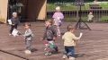 #Прямосейчас в Красногорске стартовало мероприятие «Город профессий»