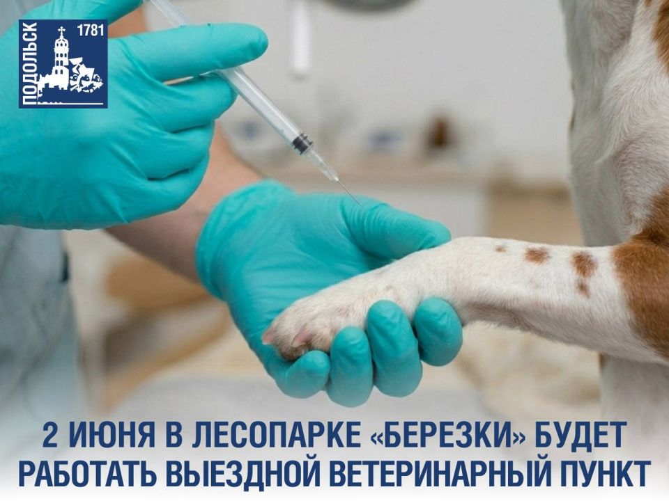 В июня в Подольске можно бесплатно вакцинировать своих питомцев