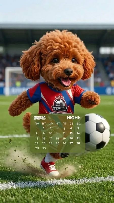 Лето начинается с яркого настроения! Лето начинается с яркого настроения!
