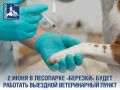 В июня в Подольске можно бесплатно вакцинировать своих питомцев