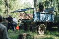 Пятница с пользой для природы: экоакция «Чистый лес» во Фряново