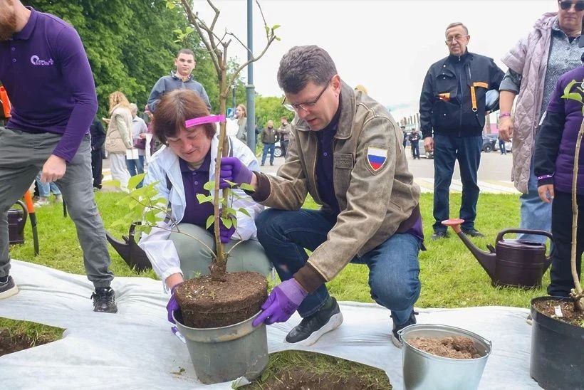 В парке Солнечногорска высадили 30 кустов сирени! В парке Солнечногорска высадили 30 кустов сирени!