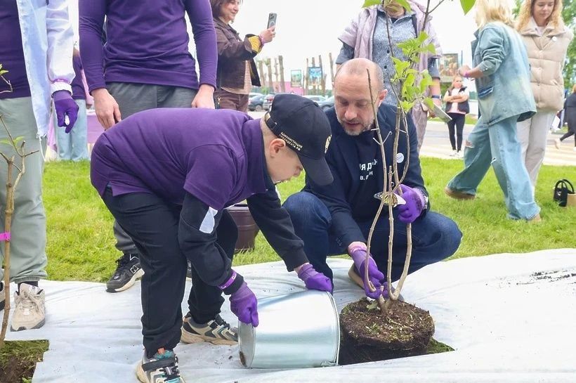 В парке Солнечногорска высадили 30 кустов сирени! В парке Солнечногорска высадили 30 кустов сирени!