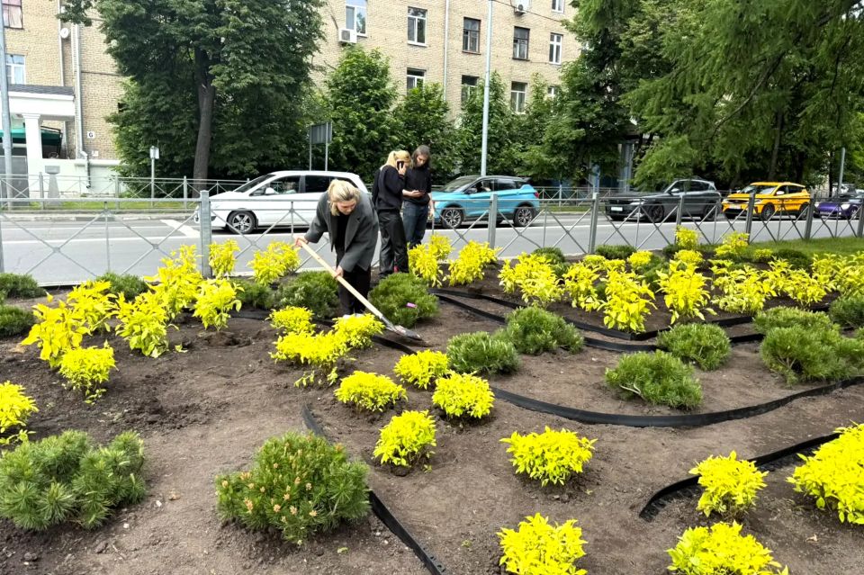 Территория у парка Мира преображается благодаря новым посадкам Территория у парка Мира преображается благодаря новым посадкам
