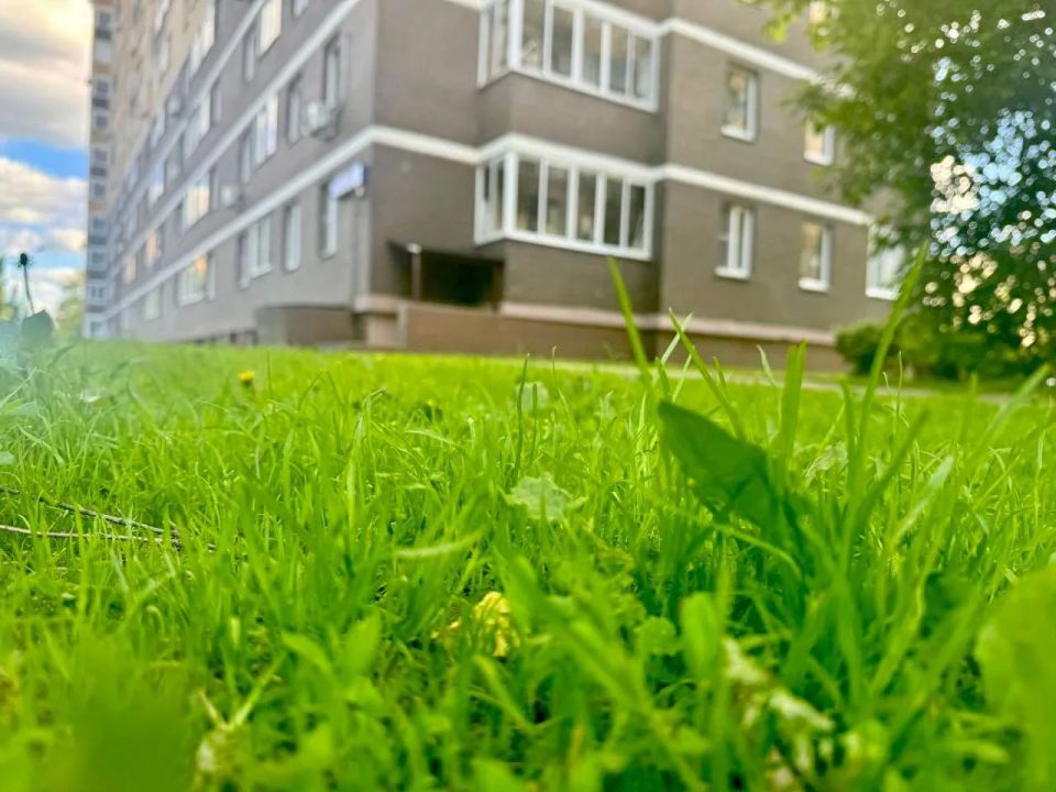 Более чем на 17 тыс. дворовых территориях Подмосковья проведен покос газонов за май