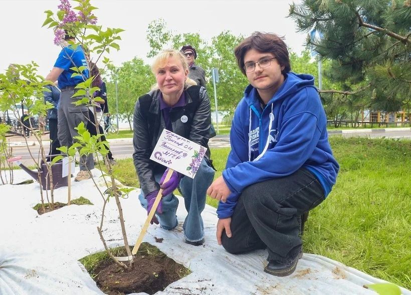 В парке Солнечногорска высадили 30 кустов сирени! В парке Солнечногорска высадили 30 кустов сирени!