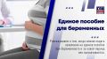 Будущие мамы могут получать единое пособие по беременности