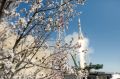 71 год со дня основания космодрома Байконур