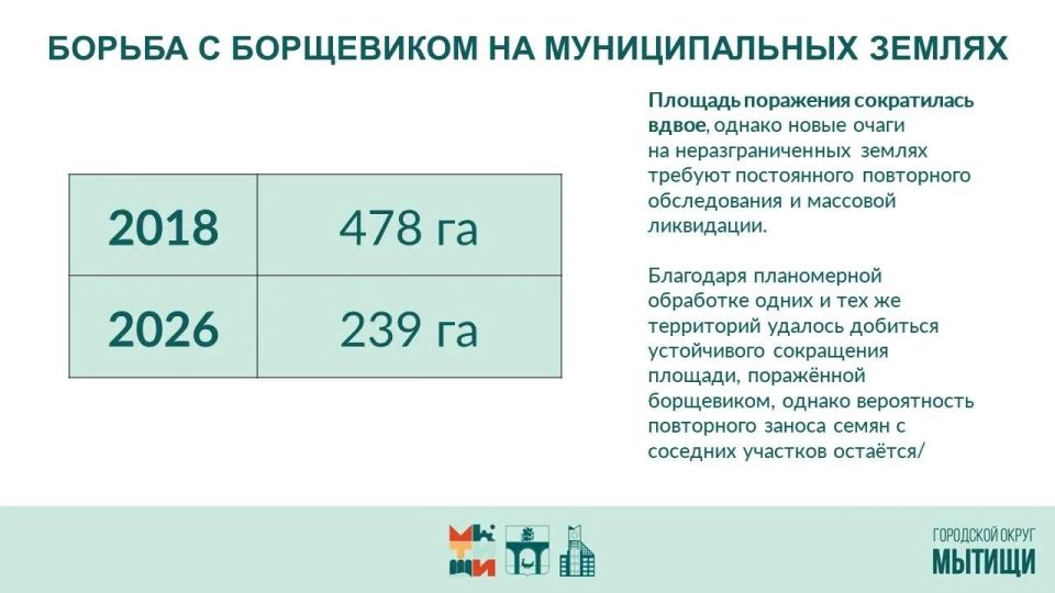 Юлия Купецкая: Борьба с борщевиком Сосновского – ключевая тема оперативного совещания Юлия Купецкая: Борьба с борщевиком Сосновского – ключевая тема оперативного совещания