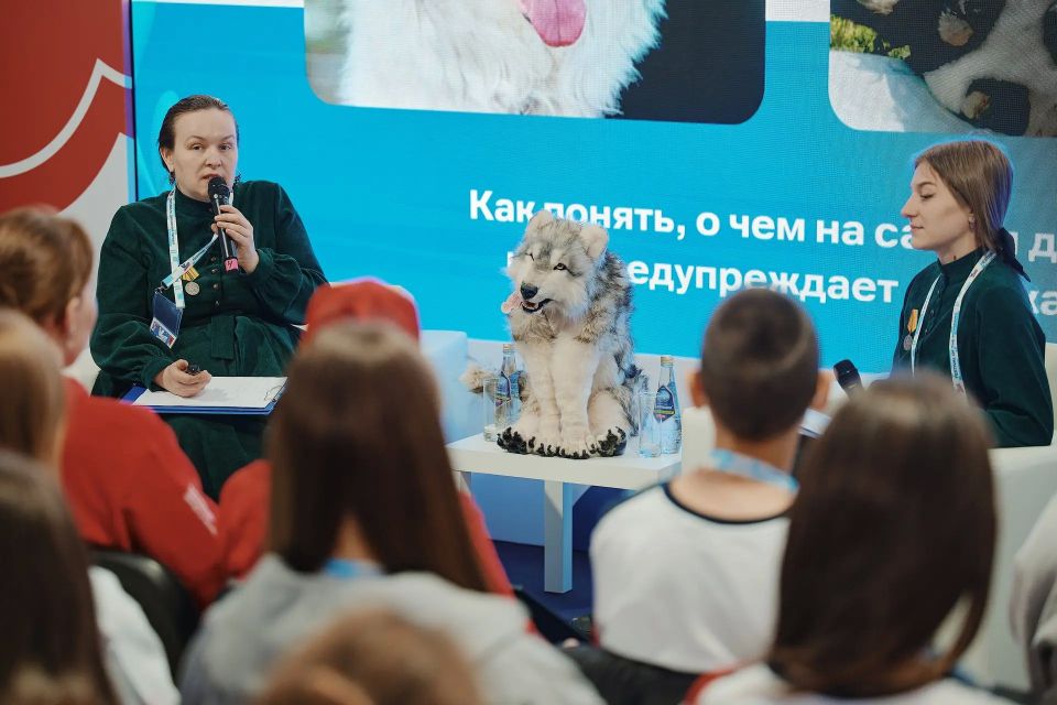 «Первые» узнали о «Фронтовой собаке» из Долгопрудного «Первые» узнали о «Фронтовой собаке» из Долгопрудного