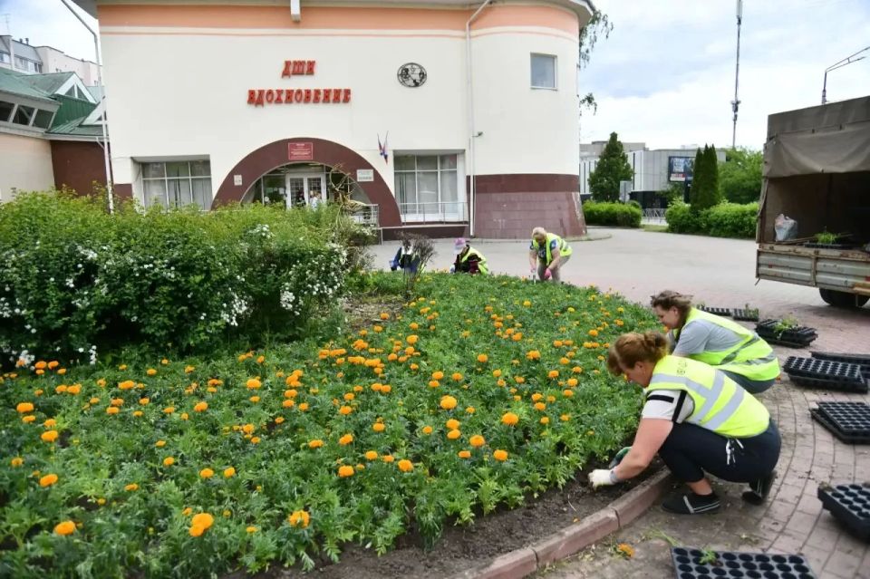 Татьяна Витушева: Истра – в цветах! Более 70 тыс Татьяна Витушева: Истра – в цветах! Более 70 тыс
