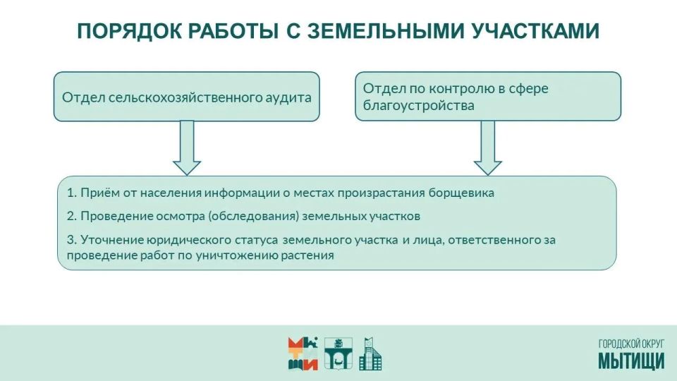 Юлия Купецкая: Борьба с борщевиком Сосновского – ключевая тема оперативного совещания Юлия Купецкая: Борьба с борщевиком Сосновского – ключевая тема оперативного совещания