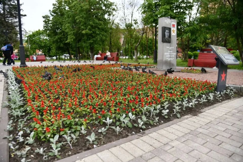 Татьяна Витушева: Истра – в цветах! Более 70 тыс Татьяна Витушева: Истра – в цветах! Более 70 тыс