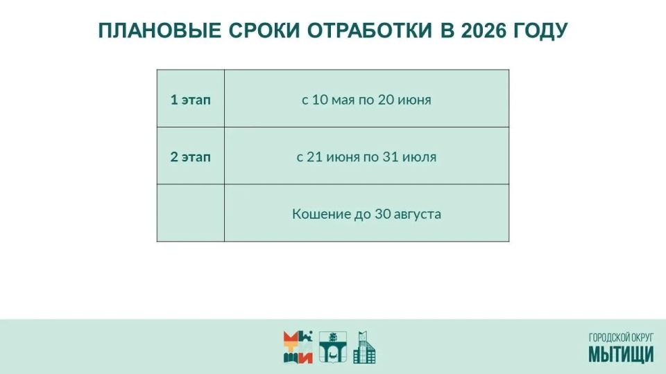 Юлия Купецкая: Борьба с борщевиком Сосновского – ключевая тема оперативного совещания Юлия Купецкая: Борьба с борщевиком Сосновского – ключевая тема оперативного совещания