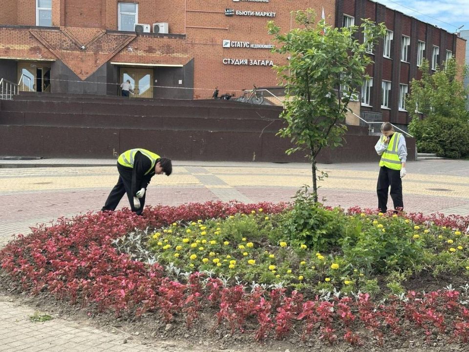 На бульваре Льва Толстого в Подольске высадили 15 тысяч растений На бульваре Льва Толстого в Подольске высадили 15 тысяч растений