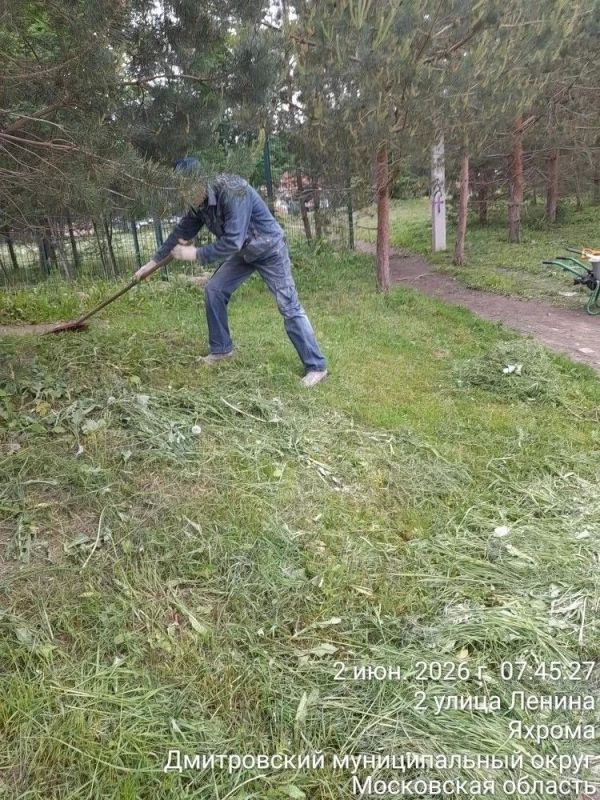 Плановые и оперативные работы окружных служб: благоустройство и содержание территорий Плановые и оперативные работы окружных служб: благоустройство и содержание территорий