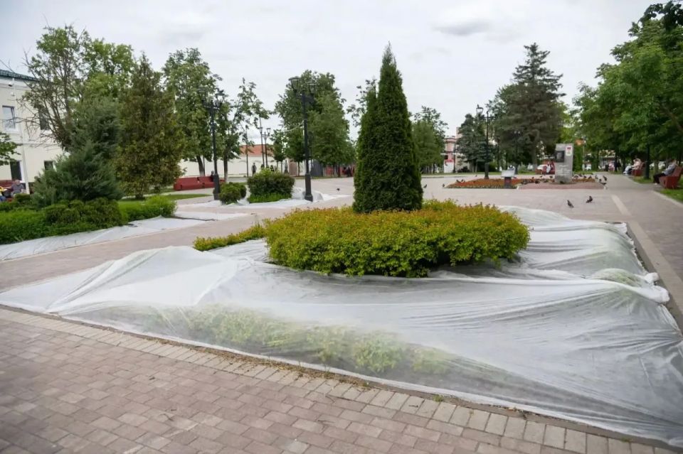 Татьяна Витушева: Истра – в цветах! Более 70 тыс Татьяна Витушева: Истра – в цветах! Более 70 тыс