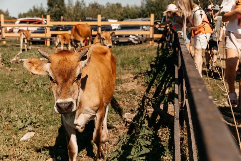 В деревне Новая в третий раз состоялся традиционный, уже полюбившийся всем фестиваль «Семьянинъ» В деревне Новая в третий раз состоялся традиционный, уже полюбившийся всем фестиваль «Семьянинъ»