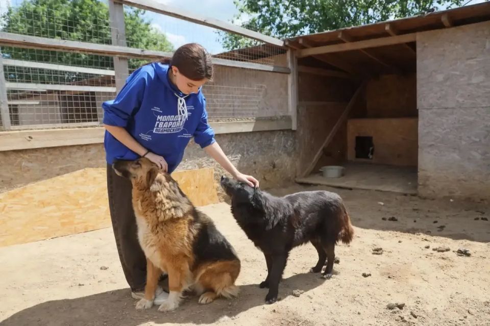 В День эколога приют для животных получил помощь В День эколога приют для животных получил помощь