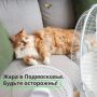 На этой неделе в Московском регионе — жара