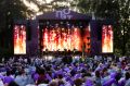 Более 8 тыс. человек посетили VI литературно-поэтический фестиваль «Проект: ПОЭТ» в усадьбе Вязёмы