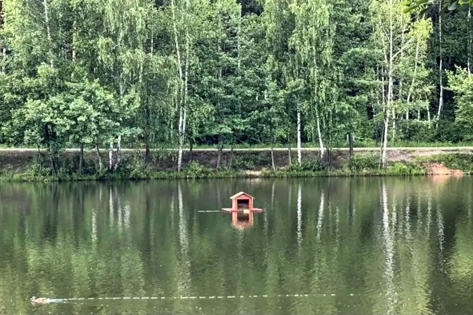На городских водоемах установили домики для уток На городских водоемах установили домики для уток
