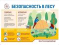 Управление Роспотребнадзора по Московской области напоминает жителям Богородского округа о правилах безопасности при посещении лесов