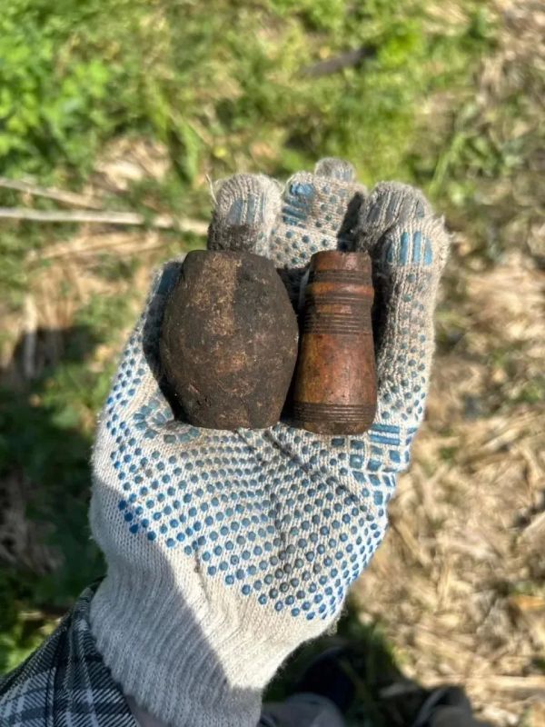 Коломенские археологи начали новый полевой сезон с раскопок в кремле Коломенские археологи начали новый полевой сезон с раскопок в кремле