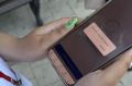 Мы решаем, где благоустроят место для прогулок в 2027 году