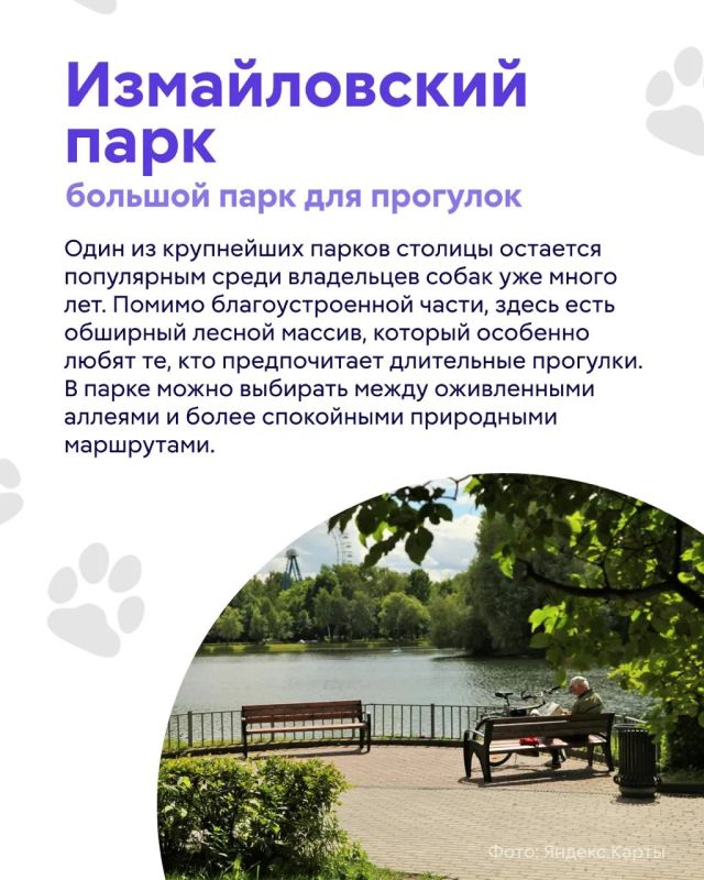 Лето, жара… а вашему питомцу хочется приключений? Лето, жара… а вашему питомцу хочется приключений?