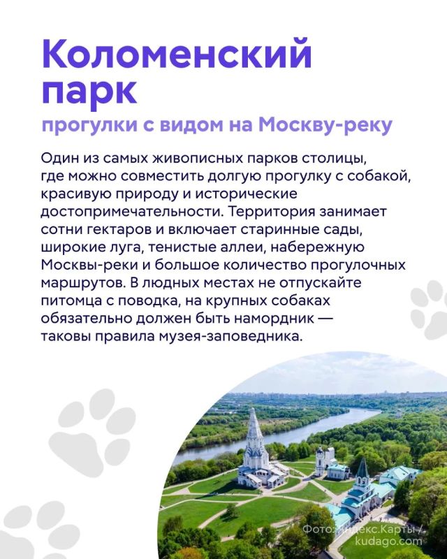 Лето, жара… а вашему питомцу хочется приключений? Лето, жара… а вашему питомцу хочется приключений?