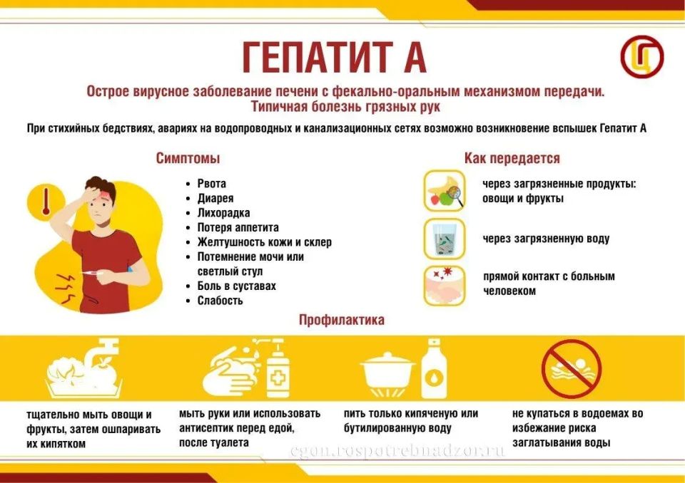 Воскресенский территориальный отдел Управления Роспотребнадзора по Московской области информирует о мерах профилактики вирусного гепатита А