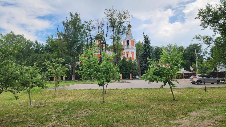 Яблоневую аллею в центре Солнечногорска приводят в порядок!