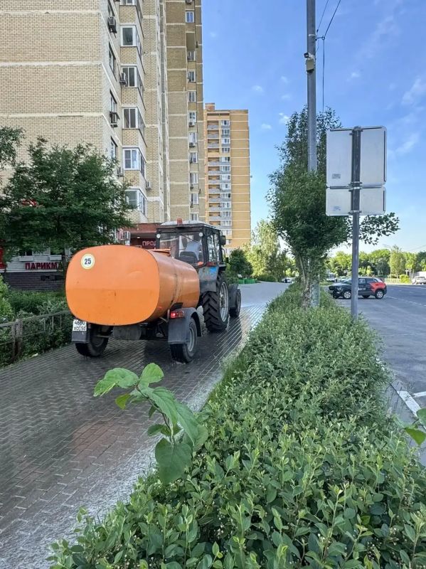 Юлия Купецкая: Ежедневная работа по содержанию территорий Юлия Купецкая: Ежедневная работа по содержанию территорий