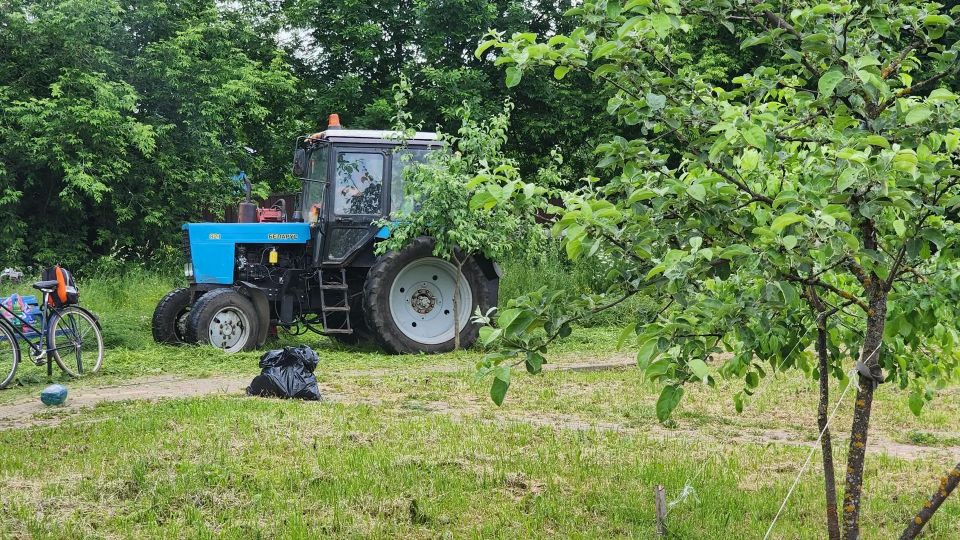Яблоневую аллею в центре Солнечногорска приводят в порядок! Яблоневую аллею в центре Солнечногорска приводят в порядок!