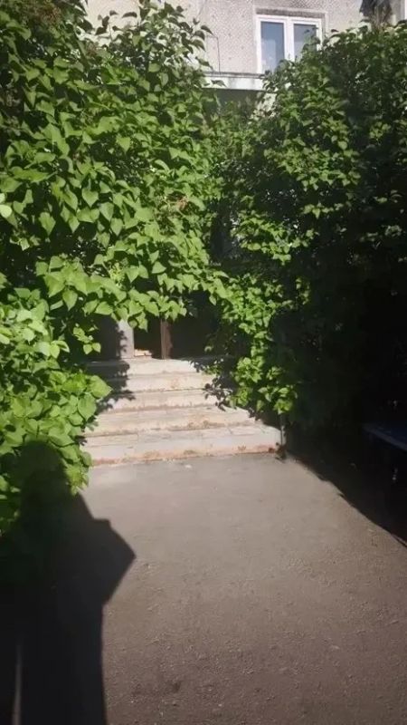 Отписки как искусство: 240 жалоб на ЖКХ за неделю в Богородском округе