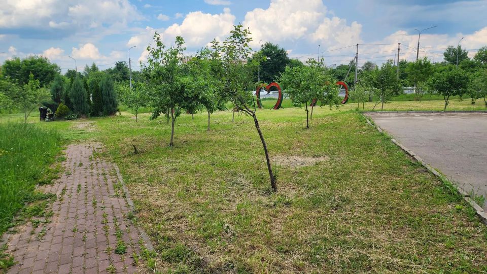 Яблоневую аллею в центре Солнечногорска приводят в порядок! Яблоневую аллею в центре Солнечногорска приводят в порядок!