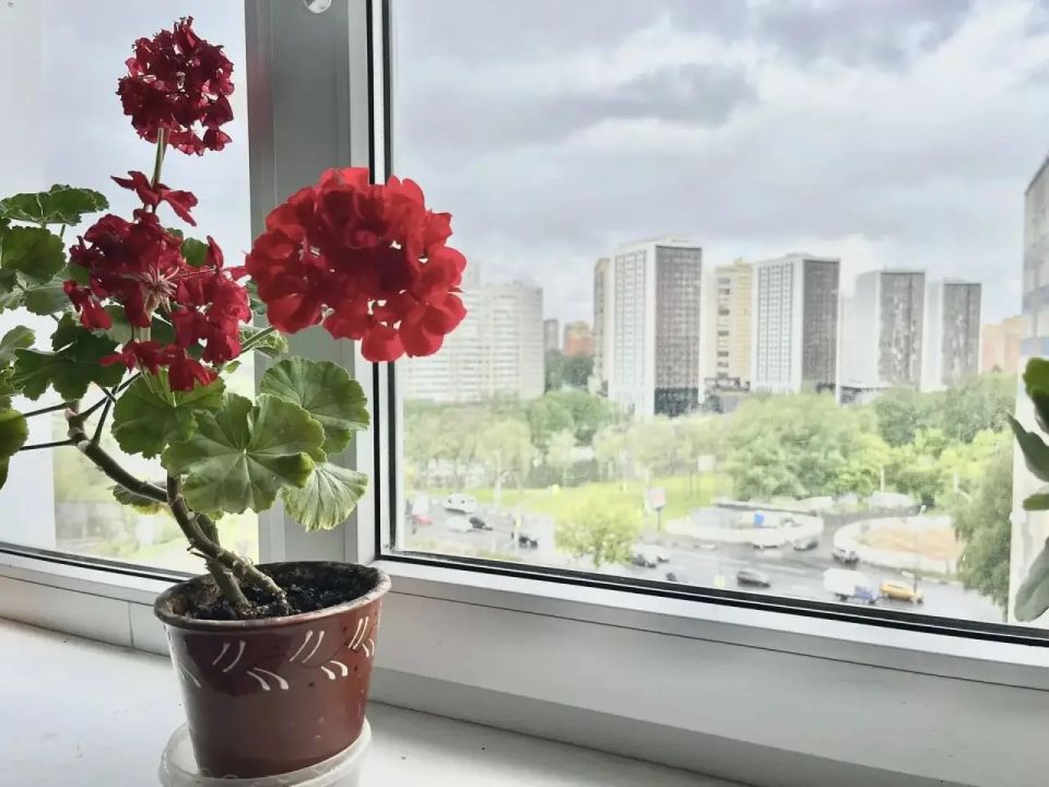 Более 3 тыс. подъездов отремонтируют в Подмосковье в этом году Более 3 тыс. подъездов отремонтируют в Подмосковье в этом году