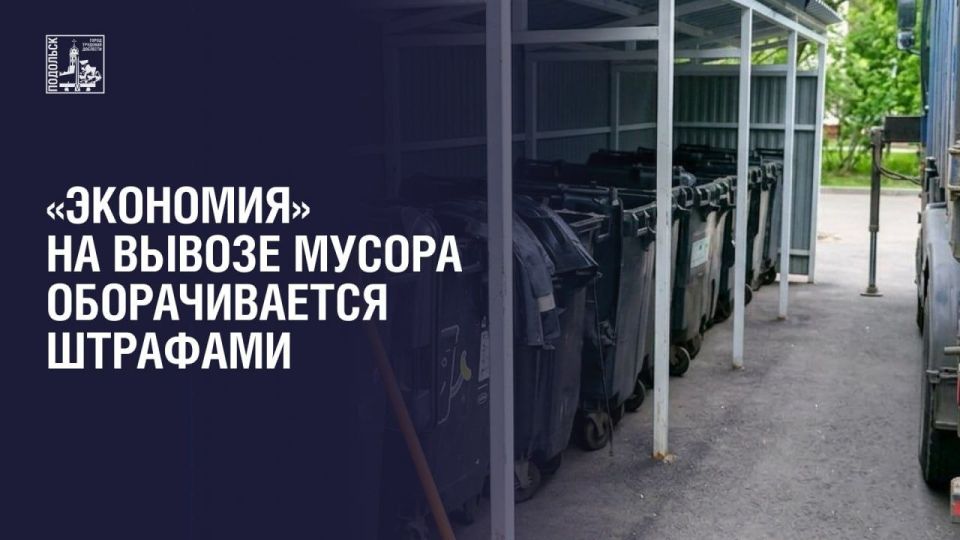 Экономия» на вывозе мусора оборачивается штрафами: почему нельзя доверять дешёвым объявлениям