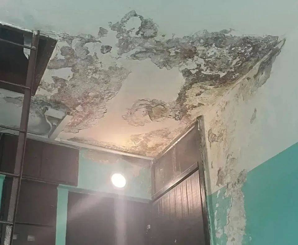Отписки как искусство: 240 жалоб на ЖКХ за неделю в Богородском округе Отписки как искусство: 240 жалоб на ЖКХ за неделю в Богородском округе