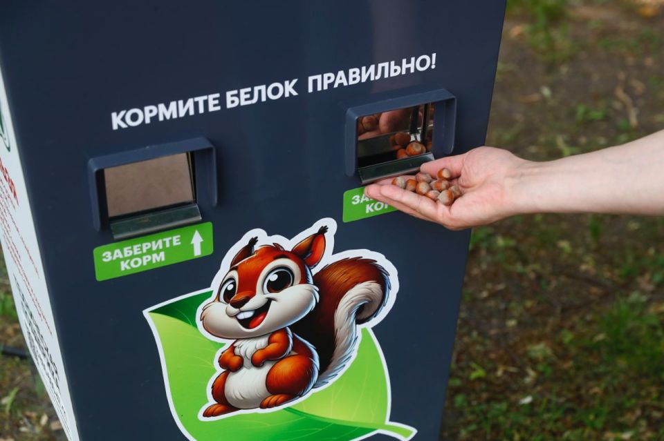 На территории музея-заповедника «Горки Ленинские» установили автоматы с правильным питанием для белок, а также новые кормушки и бельчатники