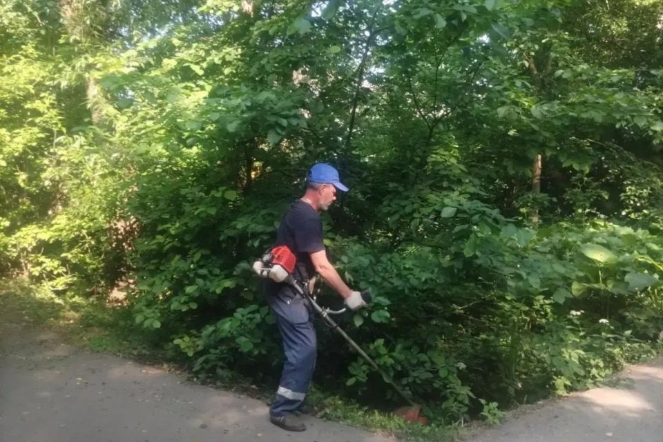Жара, жара: в Долгопрудном продолжается уборка улиц и окос травы Жара, жара: в Долгопрудном продолжается уборка улиц и окос травы