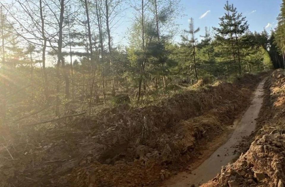 На территории Орехово-Зуевского лесничества активно проводятся работы по противопожарному обустройству лесов На территории Орехово-Зуевского лесничества активно проводятся работы по противопожарному обустройству лесов