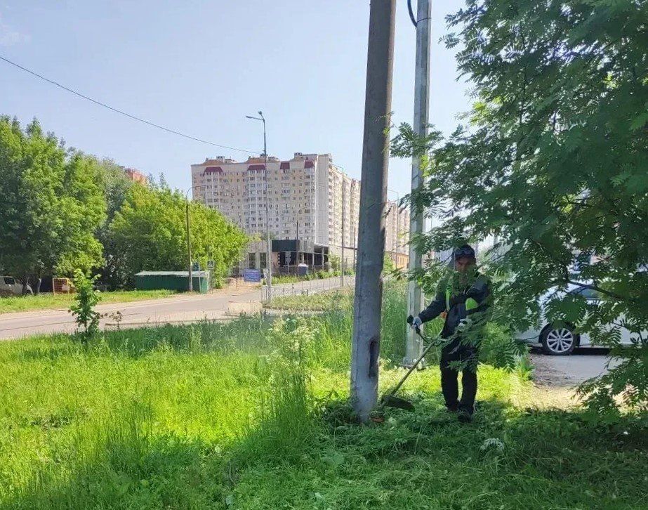 Жара, жара: в Долгопрудном продолжается уборка улиц и окос травы Жара, жара: в Долгопрудном продолжается уборка улиц и окос травы