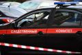 16-летнему иностранцу, напавшего на жильцов дома в Подмосковье, предъявлено обвинение