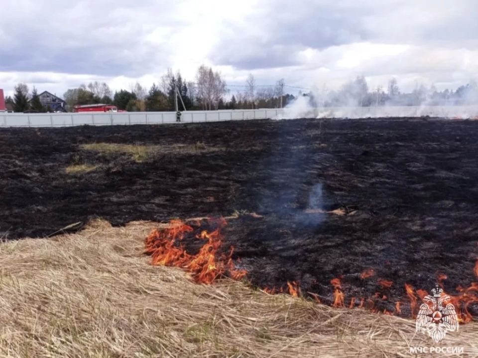 Травяные палы под контролем, но риск сохраняется