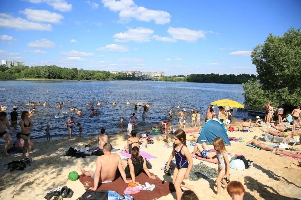Чистое дело: в выходные количество мусора в парках Долгопрудного увеличивается вдвое Чистое дело: в выходные количество мусора в парках Долгопрудного увеличивается вдвое