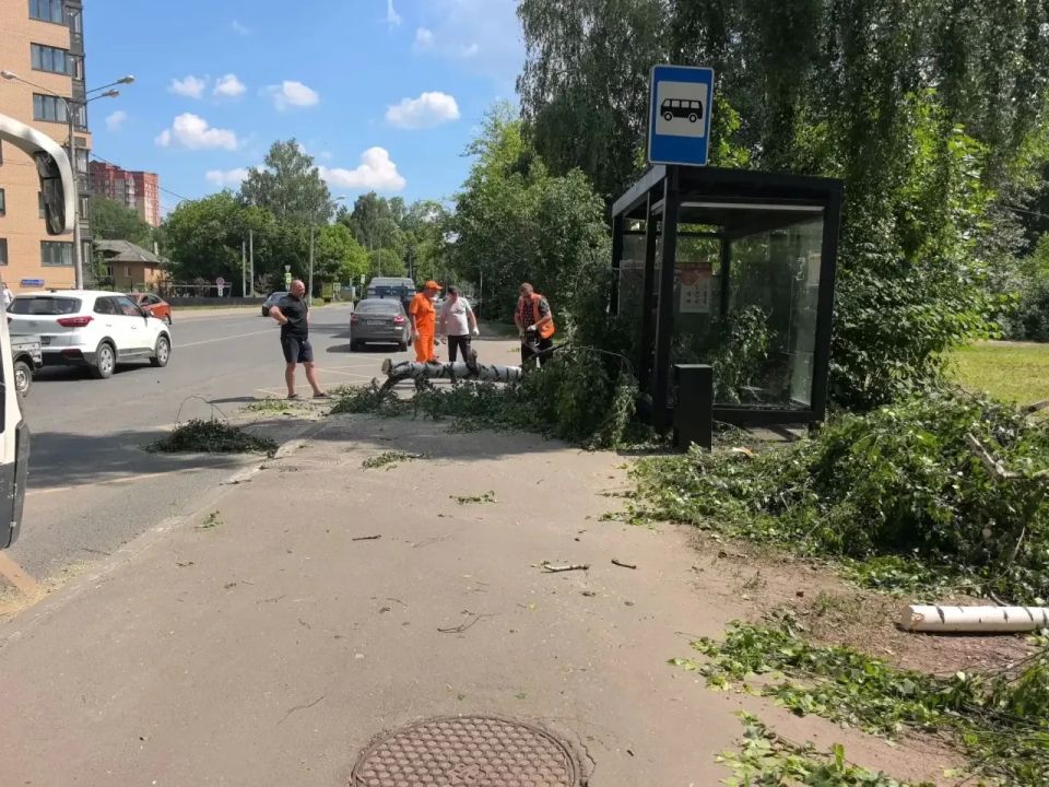По адресу: ул. Центральная, д. 70 произошло падение дерева на автобус