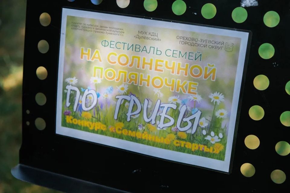 Веселье на солнечной поляночке! Веселье на солнечной поляночке!