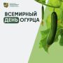 Сначала – у подножия Гималаев